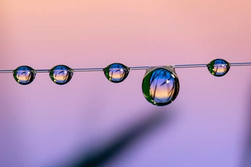 Home Entertainment System